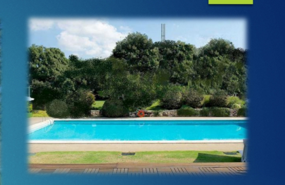 Vendita Villa Zona tranquilla  Roma Lazio
