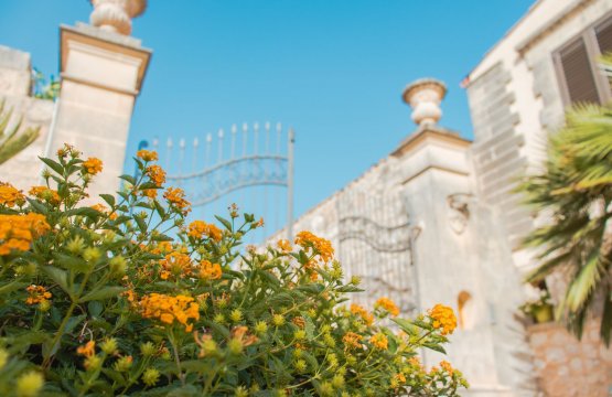 Vendita Operazione immobiliare Campagna Marina Di Ragusa Sicilia